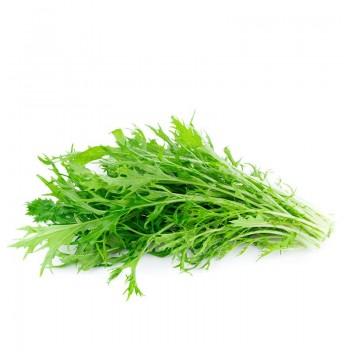 Mizuna verde Manojo 200 gr