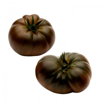 Tomate RAFF NEGRO