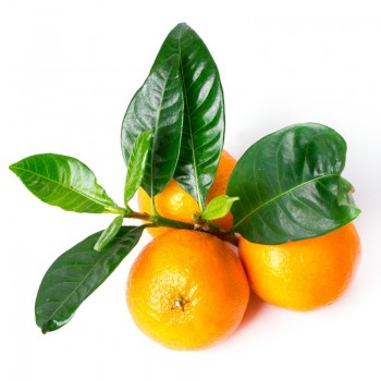 Mandarina con hoja