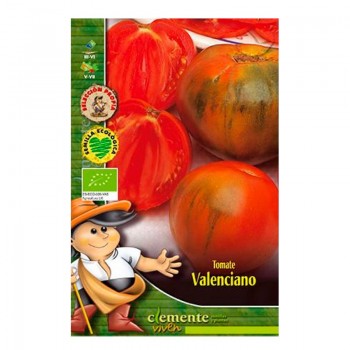 Semilla Tomate